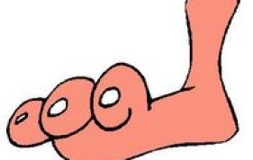 toes.jpg